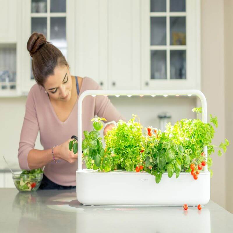 useful gifts for mom, the indoor planter